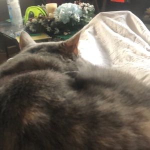 Meet your Posher, Vickie